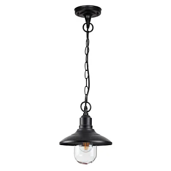 Подвесной уличный светильник Odeon Light 4965/1 Подвесной уличный светильник Odeon Light 4965/1