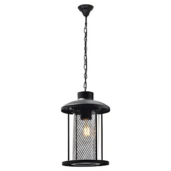 Подвесной уличный светильник Feron 48389