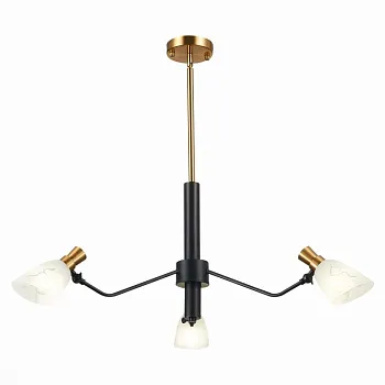 Люстра на штанге Evoluce SLE205403-03