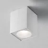 Влагозащищенный светильник Maytoni Technical C030CL-01W Влагозащищенный светильник Maytoni Technical C030CL-01W