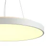 Накладной светильник Sonex 7755/92L