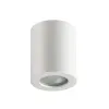Влагозащищенный светильник Odeon Light 3571/1C Влагозащищенный светильник Odeon Light 3571/1C