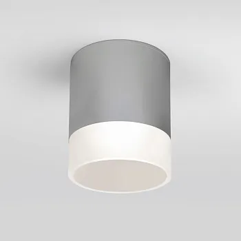 Накладной уличный светильник Elektrostandard Light LED 2107 (35140/H) серый Накладной уличный светильник Elektrostandard Light LED 2107 (35140/H) серый