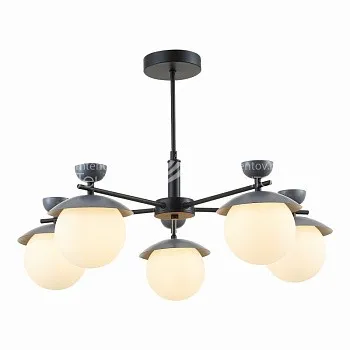 Evoluce SLE220202-05