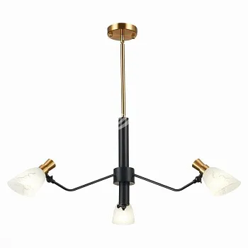 Evoluce SLE205403-03