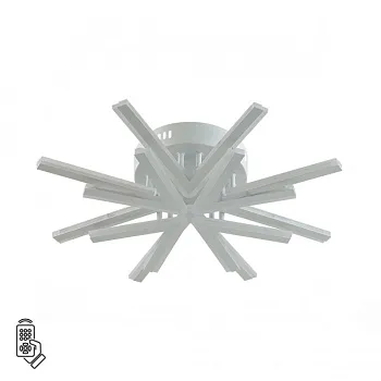 Накладная люстра LUMION 8029/65CL