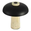 Настольная лампа ST-Luce SL1194.424.01 Настольная лампа ST-Luce SL1194.424.01