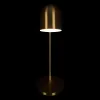 Настольная лампа LOFT IT 10144 Gold Настольная лампа LOFT IT 10144 Gold