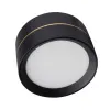Влагозащищенный светильник LeDron BARREL Black Влагозащищенный светильник LeDron BARREL Black