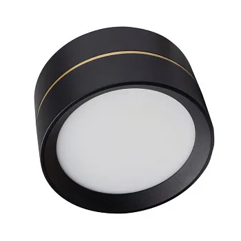 Влагозащищенный светильник LeDron BARREL Black Влагозащищенный светильник LeDron BARREL Black