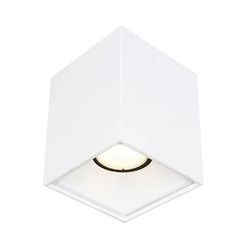 Накладной светильник ST-Luce ST168.502.01