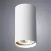 Накладной светильник ARTE Lamp A1516PL-1WH