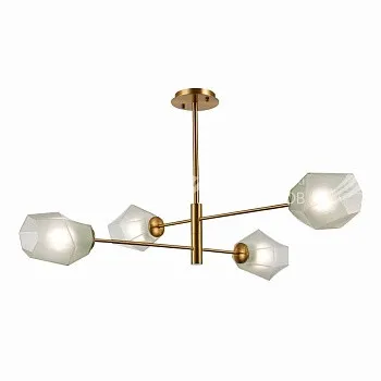 Evoluce SLE205202-04