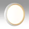 Накладной светильник Sonex 7650/EL