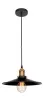 Подвесной светильник LOFT IT LOFT1102