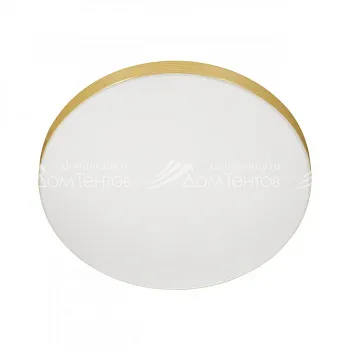 Накладной светильник Sonex 3066/AL