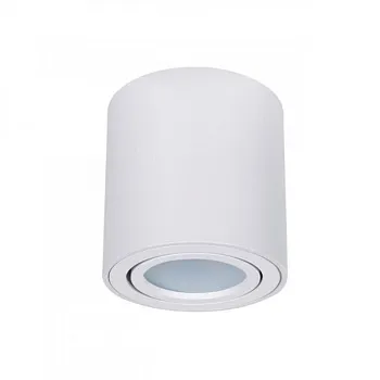 Накладной светильник ARTE Lamp A1513PL-1WH