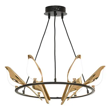 Подвесная люстра Lussole LSP-8641