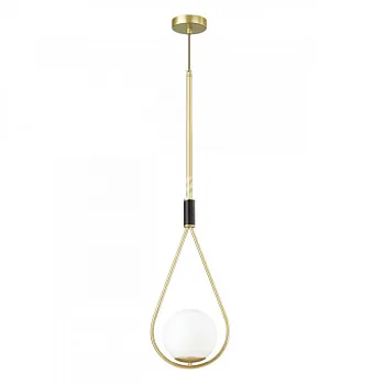 Подвесной светильник Odeon Light 4810/1