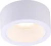 Накладной светильник ARTE Lamp A5553PL-1WH