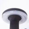 Светильник настенный Citilux CLU01W Светильник настенный Citilux CLU01W