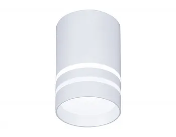 Накладной светильник Ambrella Light TN235