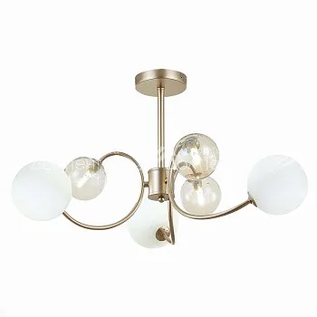 Evoluce SLE220922-06