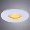 Влагозащищенный светильник ARTE Lamp A5440PL-1WH Влагозащищенный светильник ARTE Lamp A5440PL-1WH