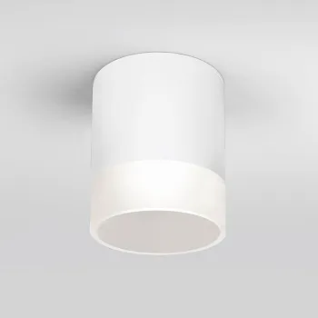 Накладной уличный светильник Elektrostandard Light LED 2107 (35140/H) белый Накладной уличный светильник Elektrostandard Light LED 2107 (35140/H) белый