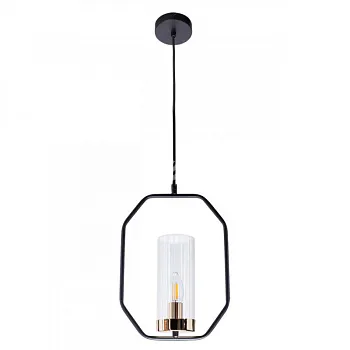 Подвесной светильник ARTE Lamp A7004SP-1BK