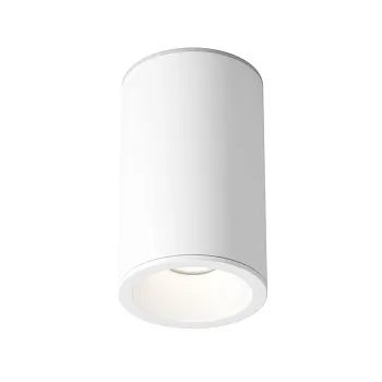 Влагозащищенный светильник Maytoni Technical C029CL-01-S-W Влагозащищенный светильник Maytoni Technical C029CL-01-S-W