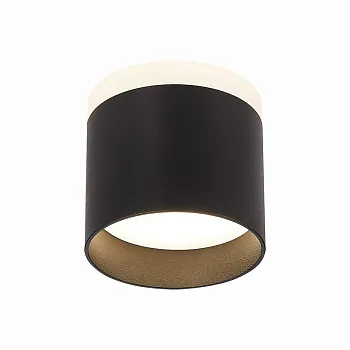 Накладной светильник ST-Luce ST102.442.09