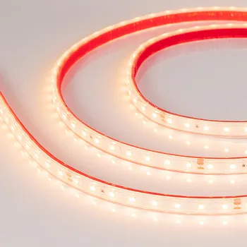 Лента Arlight 024531(2)