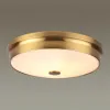 Накладной светильник Odeon Light 4824/4C