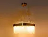 Подвесная люстра Ambrella Light TR5333