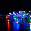 Светодиодная бахрома Eurosvet 100-101 мульти 30,6м IP65 Светодиодная бахрома Eurosvet 100-101 мульти 30,6м IP65