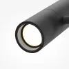 Светильник на шине Maytoni Technical TR005-4-2X12W-DS-B Светильник на шине Maytoni Technical TR005-4-2X12W-DS-B