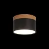 Детский точечный светильник LOFT IT 10162 Black