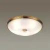 Накладной светильник Odeon Light 4956/5