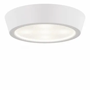 Влагозащищенный светильник Lightstar 214904 Влагозащищенный светильник Lightstar 214904
