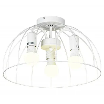 Накладной светильник Lussole LSP-8218