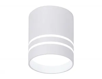 Накладной светильник Ambrella Light TN240