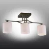 Люстра на штанге Omnilux OML-55317-03