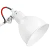 Настольная лампа Lightstar 765916 Настольная лампа Lightstar 765916