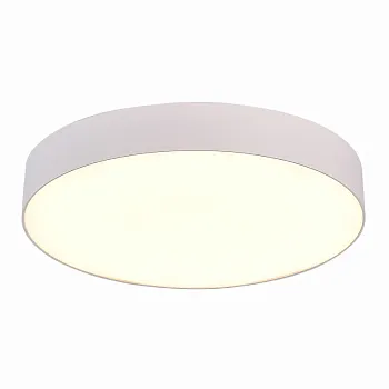 Накладной светильник ST-Luce ST606.532.48