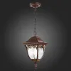 Подвесной уличный светильник ST-Luce SL083.703.01