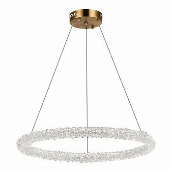 Подвесная люстра ST-Luce SL6110.213.01