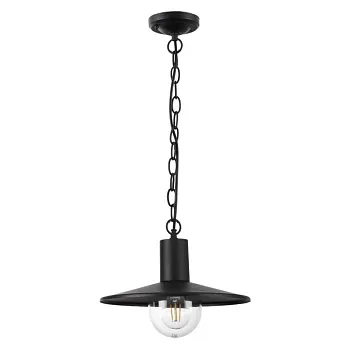 Подвесной уличный светильник Odeon Light 4833/1 Подвесной уличный светильник Odeon Light 4833/1