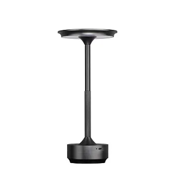 Настольная лампа Odeon Light 5034/6TL Настольная лампа Odeon Light 5034/6TL