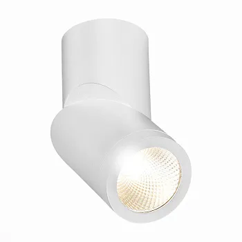 Влагозащищенный светильник ST-Luce ST650.532.10 Влагозащищенный светильник ST-Luce ST650.532.10
